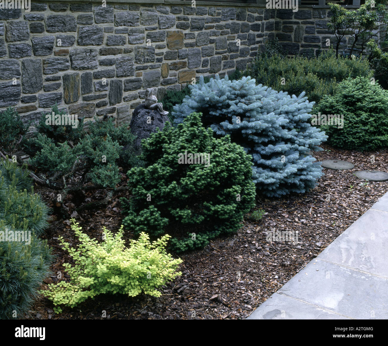 FOUNDATION PLANTING WITH SEVERAL PLANT SPECIES Stock Photo