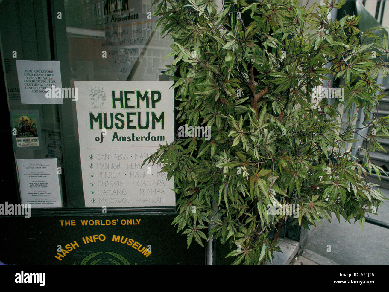 the worlds only hash info museum hemp museum amsterdam holland 1993 Stock Photo