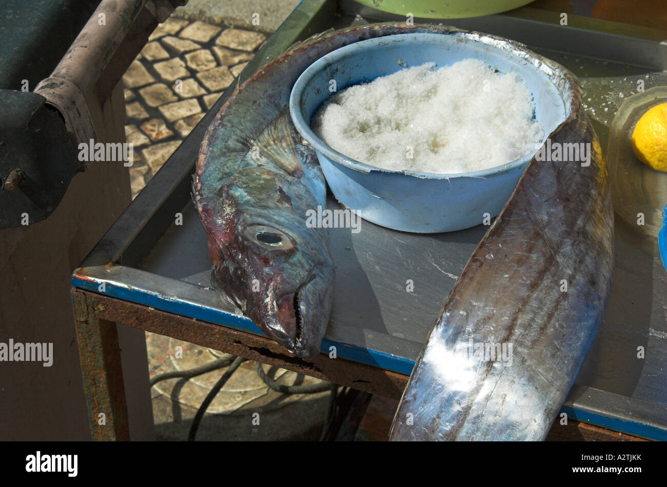 Silver fish, Ferragudo Stock Photo