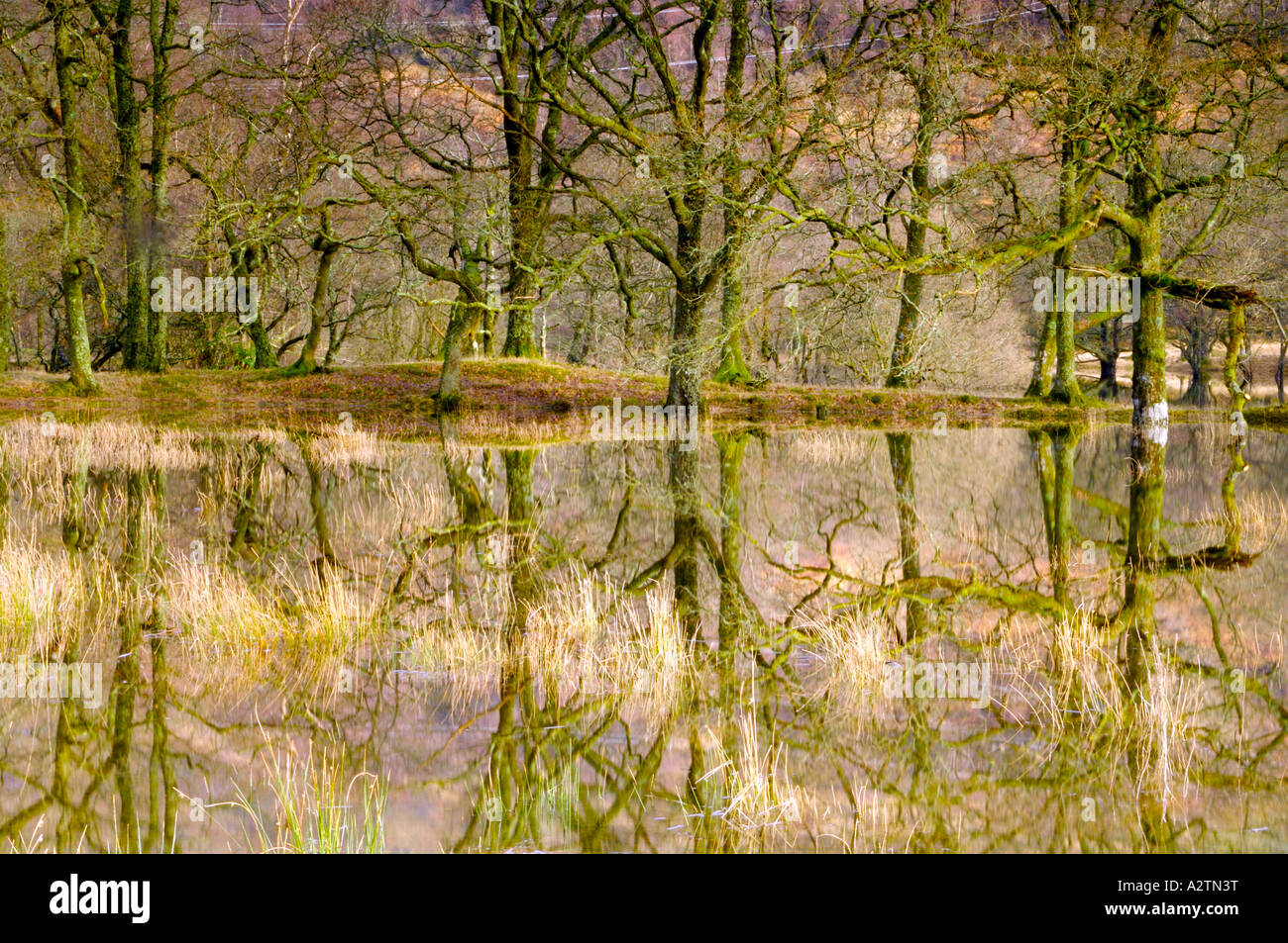 Loch Lomond Flooding High Resolution Stock Photography And Images Alamy Loch Lomond Flooding High Resolution Stock Photography And Images Alamy