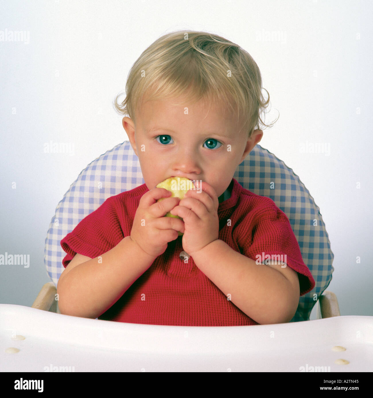 18 month old toddler in high chair eating an apple Stock Photo Alamy