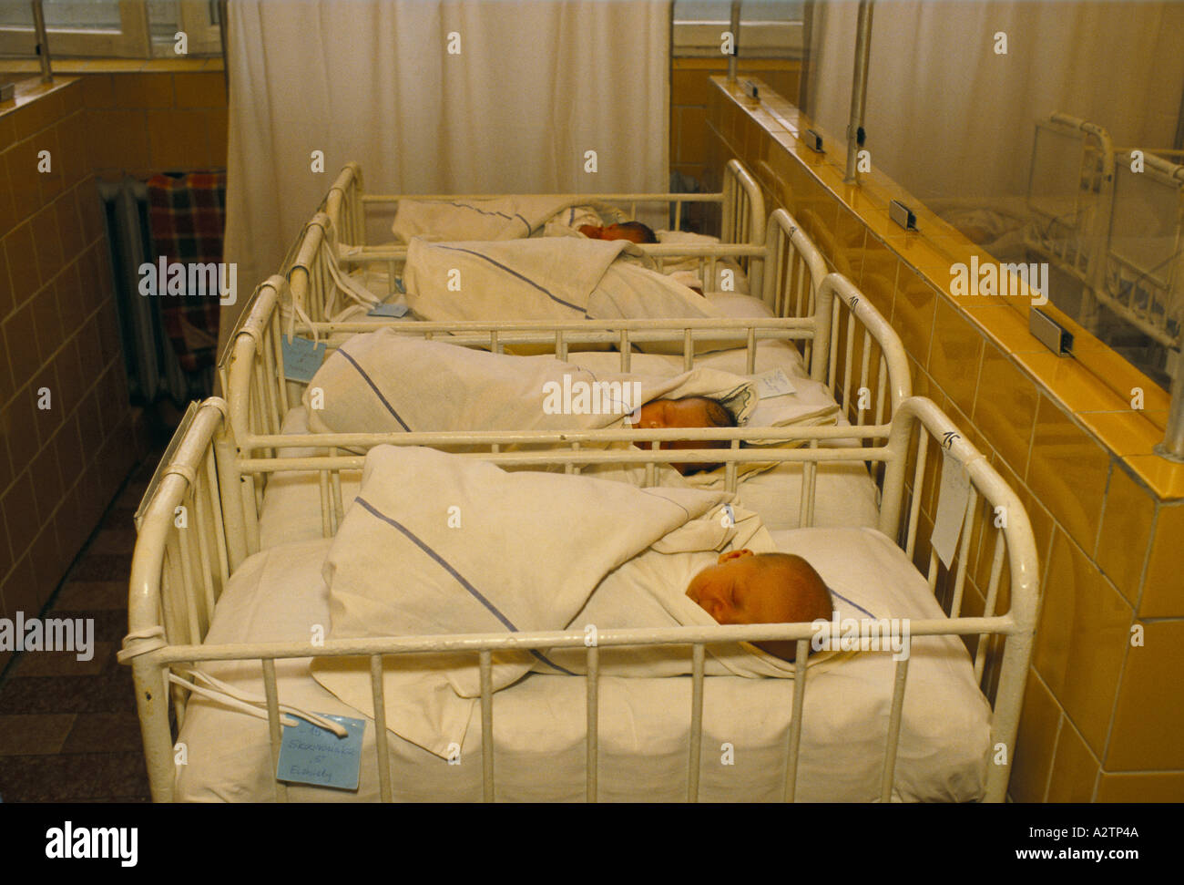 babies sleeping in cots maternity unit katowice poland Stock Photo Alamy