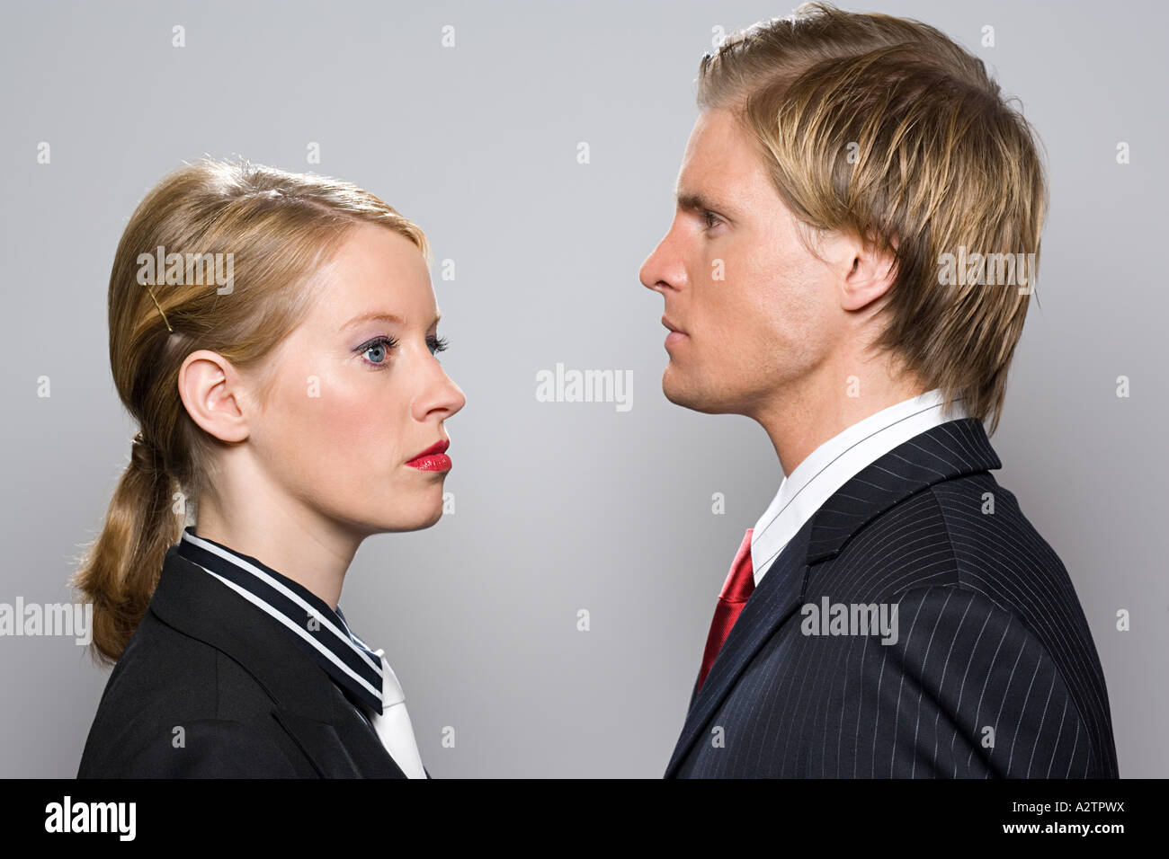Two colleagues Stock Photo