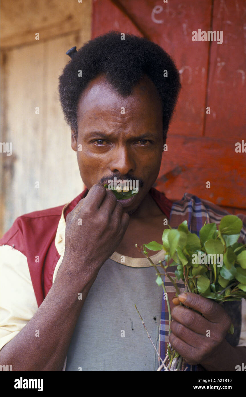 Man chewing quat in Harege Ethiopia Stock Photo