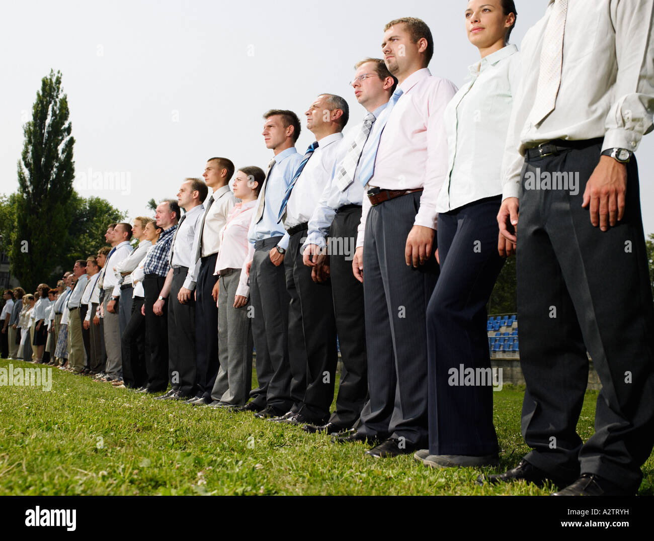 Businesspeople in a row Stock Photo