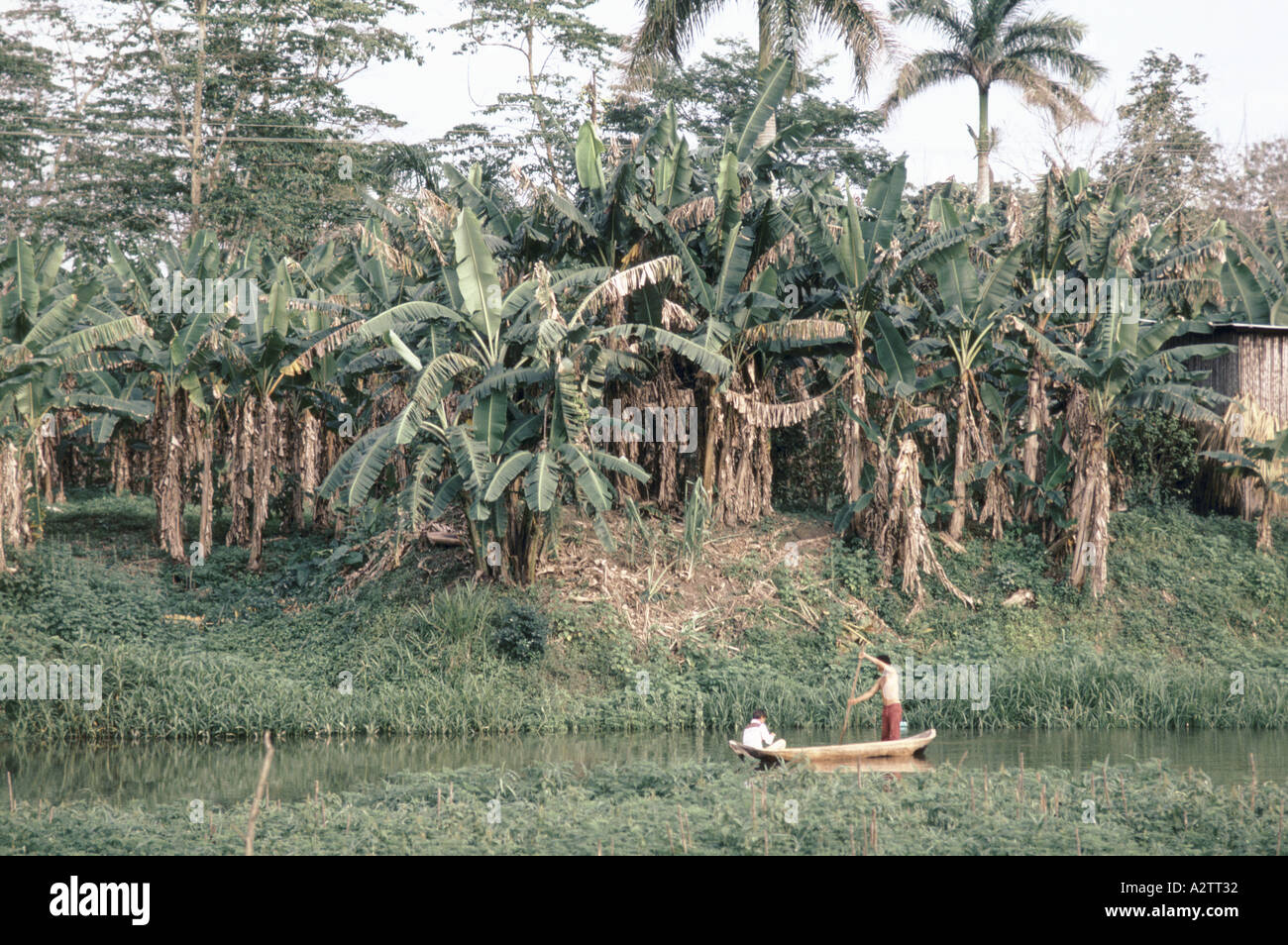 mexico tabasco state pirogue on the river Stock Photo Alamy
