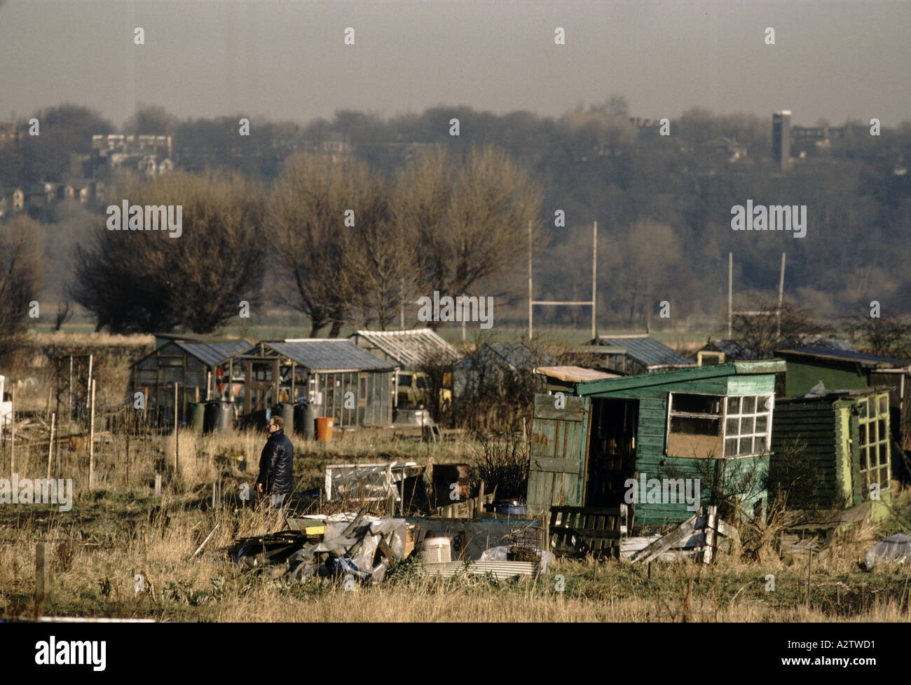 allotments Stock Photo