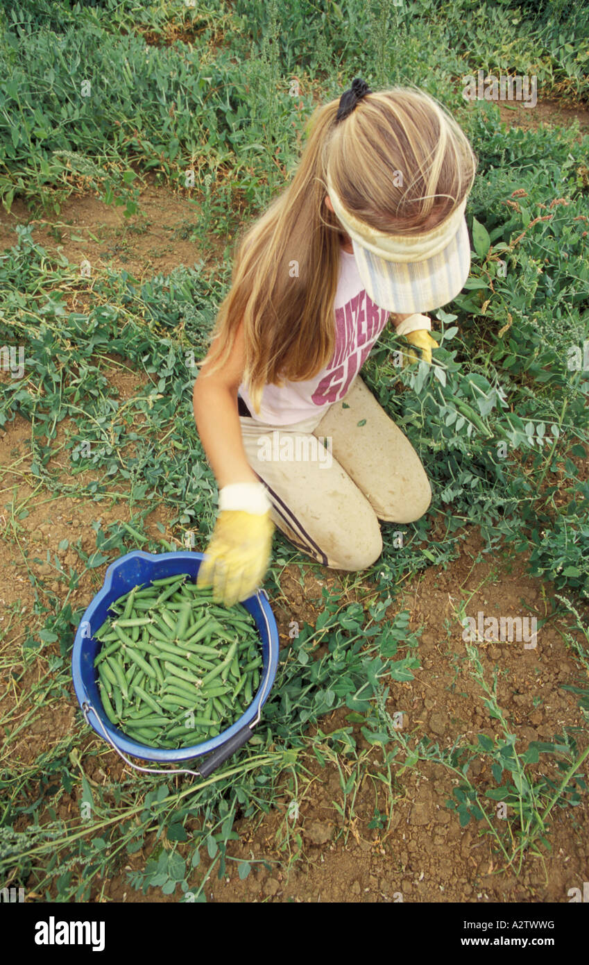 Farm labourer england hires stock photography and images Alamy
