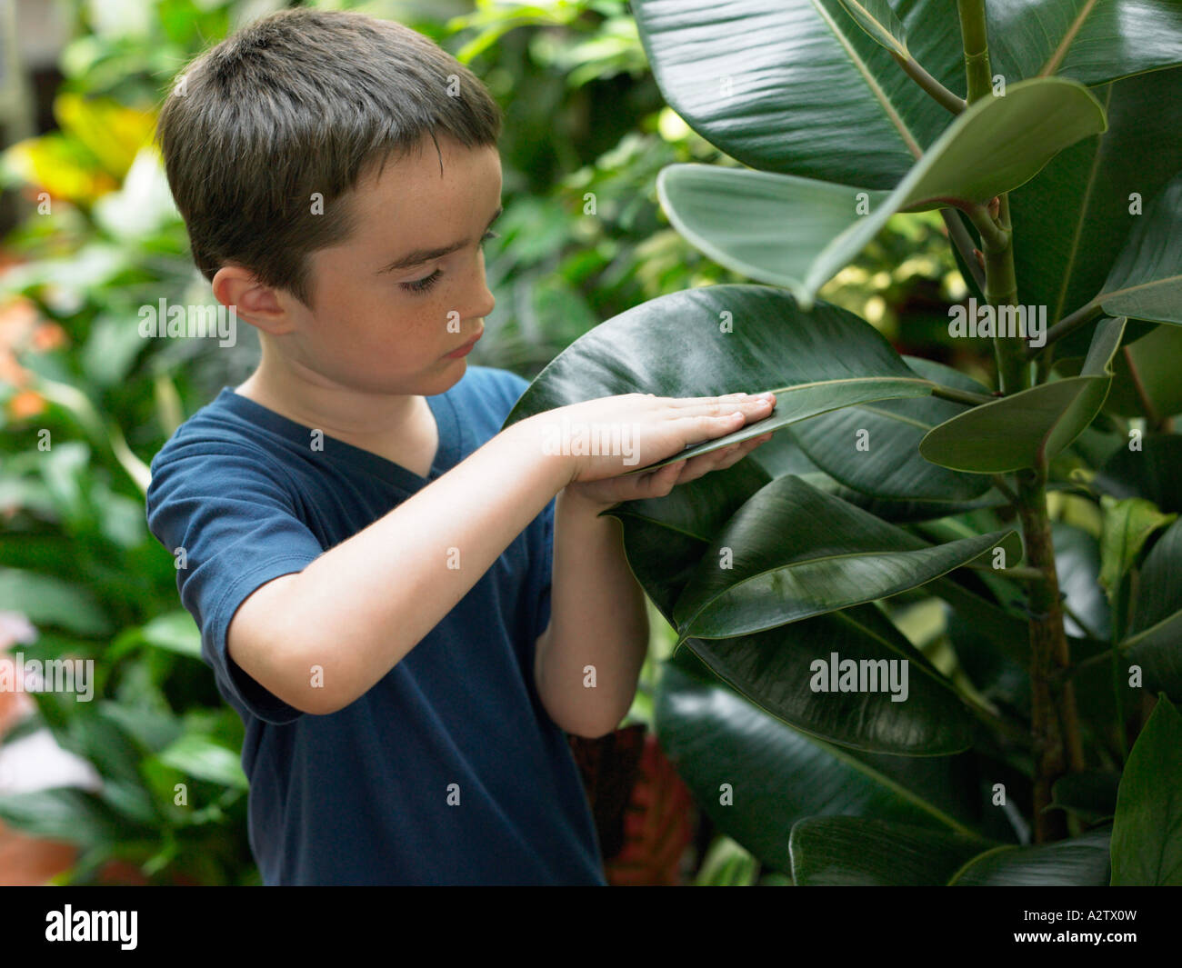 Трогать большого мальчика. Растение мальчик. Мальчик с большой растительностью. Растительность у мальчиков. Мальчик прикоснулся к цветку.