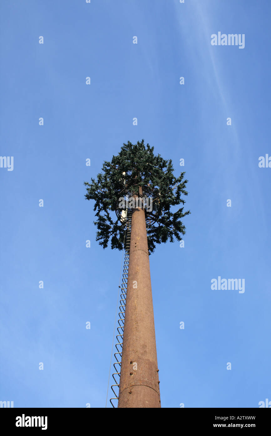 mobile phone antenna tower shaped like a tree Stock Photo Alamy