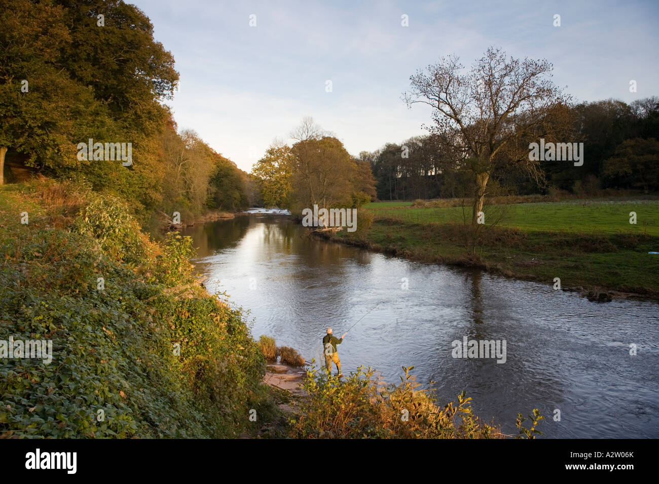 Fly fishing on the River Usk at the Gliffaes Country House Hotel, Brecon Beacons, Wales Stock Photo