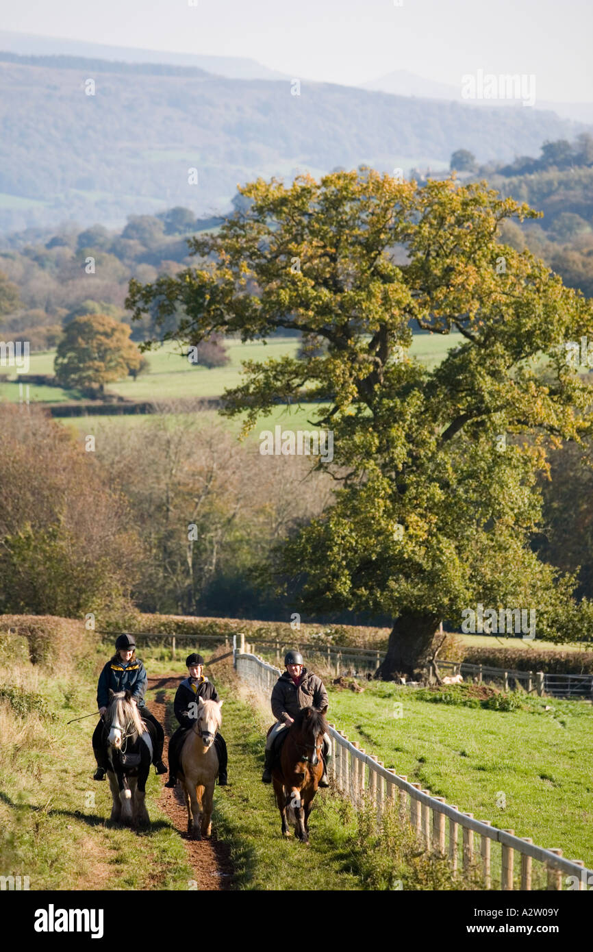 Horseriding treks in Brecon Beacons National Park Stock Photo