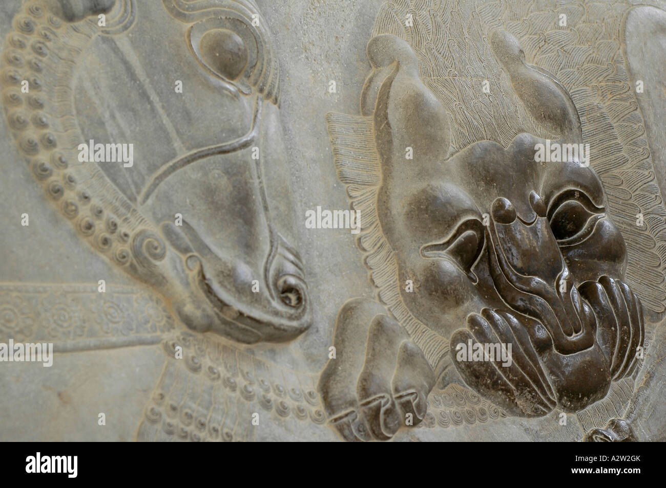 A recurrent bas relief showing a lion biting an unicorn in the Persepolis archeological site, near Shiraz, Iran. Stock Photo