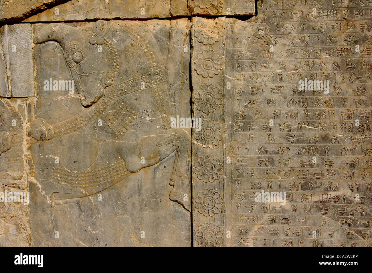 A bas relief in the Persepolis archeological site, near Shiraz, Iran. Stock Photo