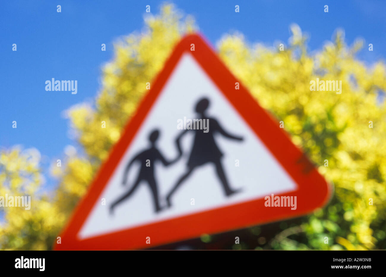 Roadsign warning that children may be in the vicinity and with bright yellow Privet or Ligustrum ovalifolium Aureum bush behind Stock Photo
