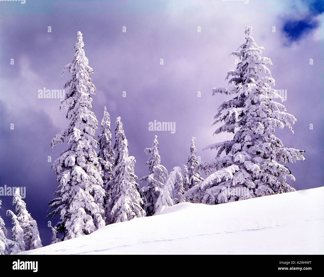 Deep snow covers the landscape as the morning sun breaks through after ...