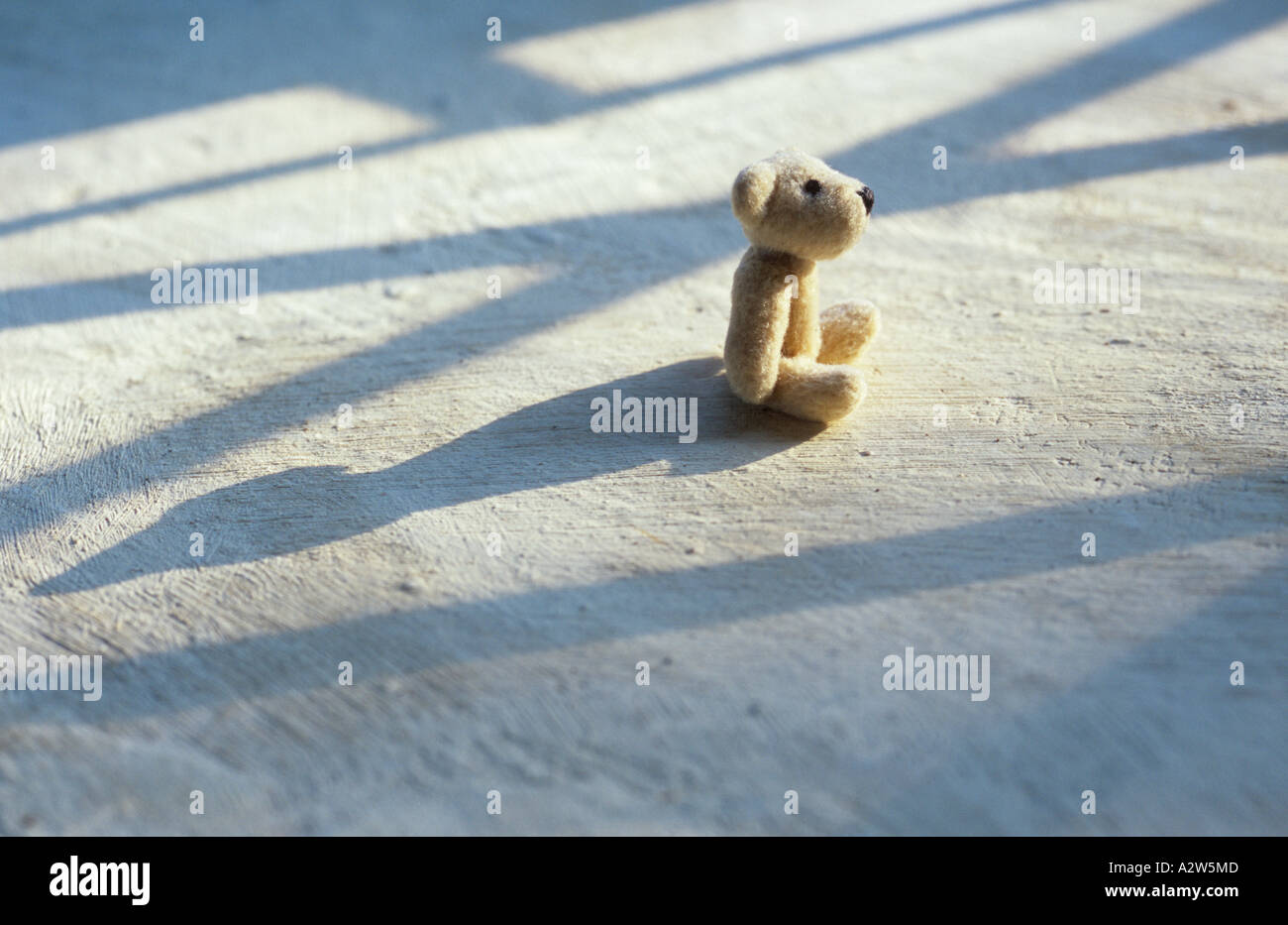 Small beige teddy bear sitting on a white painted concrete floor sunbathing between window bar shadows Stock Photo