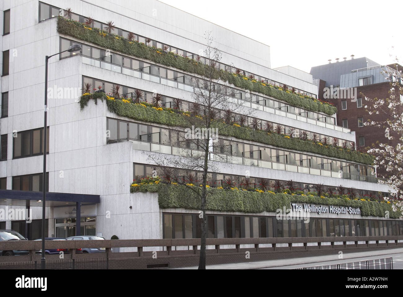 Wellington Hospital Stock Photos & Wellington Hospital Stock Images Alamy