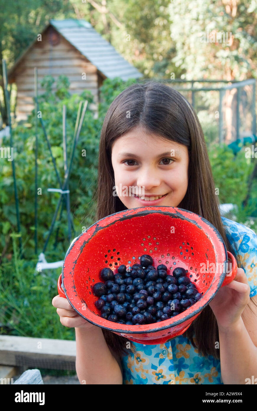 Young girl with red enamel colander of organically grown blueberries Stock Photo