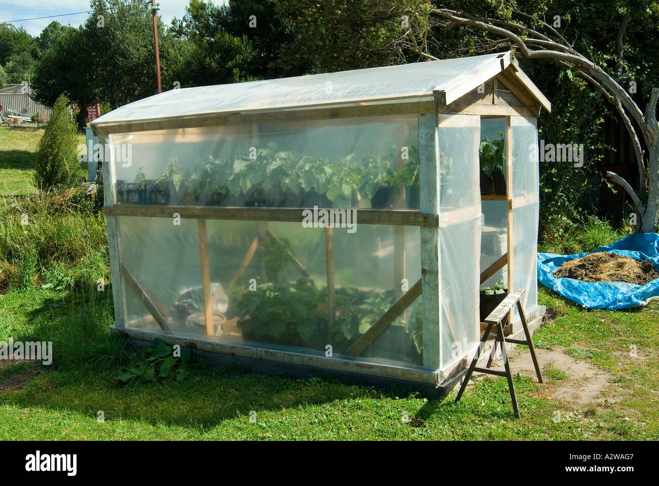 Homemade hot house built using scrap timber and agricultural polythene sheeting Stock Photo