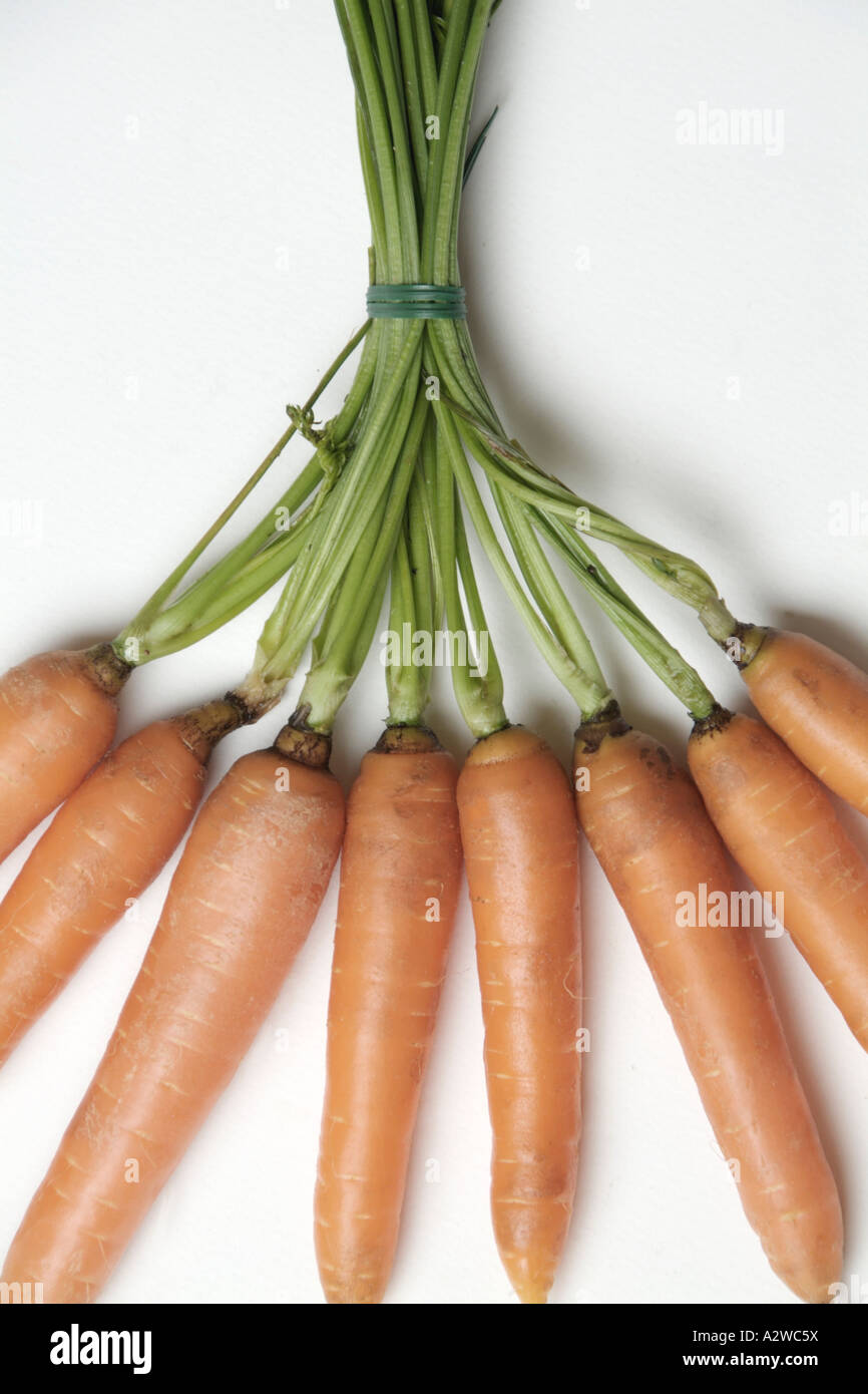 bunch of carrots Stock Photo