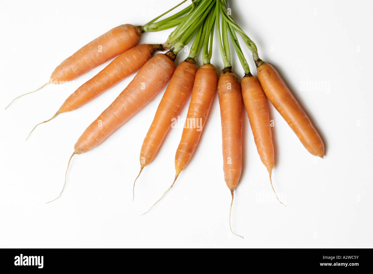 bunch of fresh carrots Stock Photo