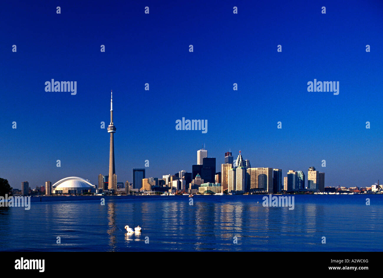 Canada Ontario Toronto skyline Stock Photo - Alamy