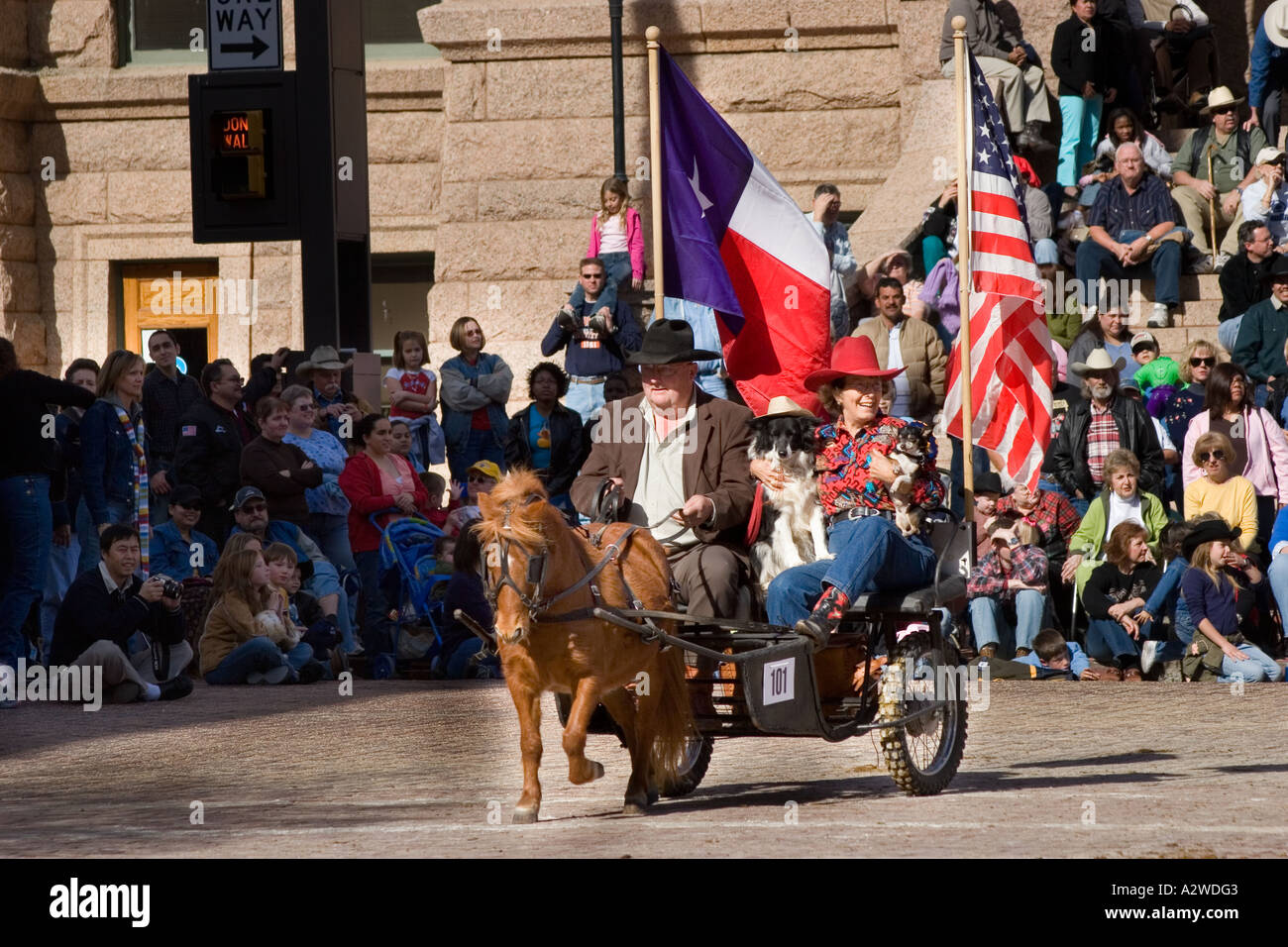 Miniature horse cart hires stock photography and images Alamy