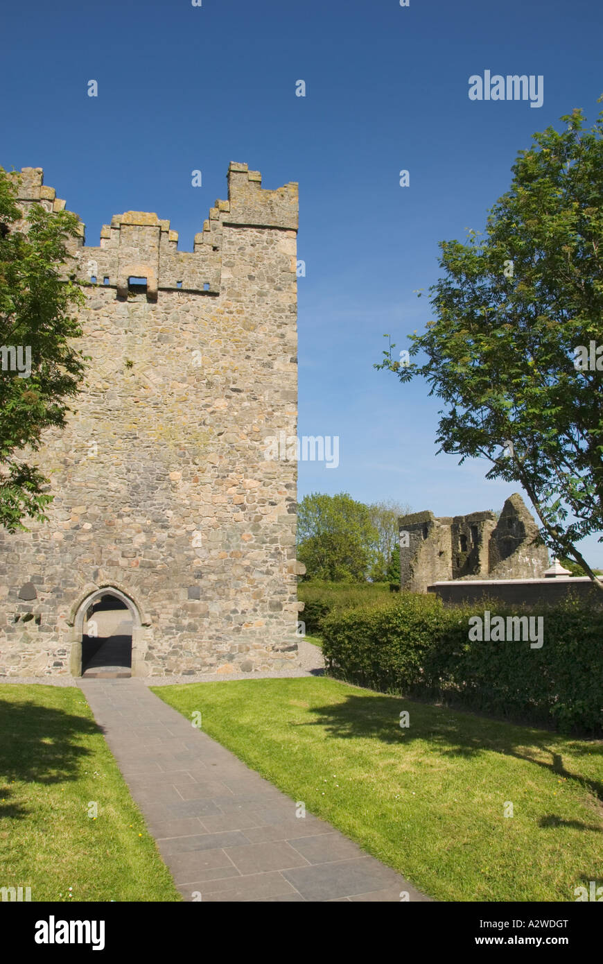 Northern Ireland County Down Carlingford Dominican Friary Abbey Stock Photo