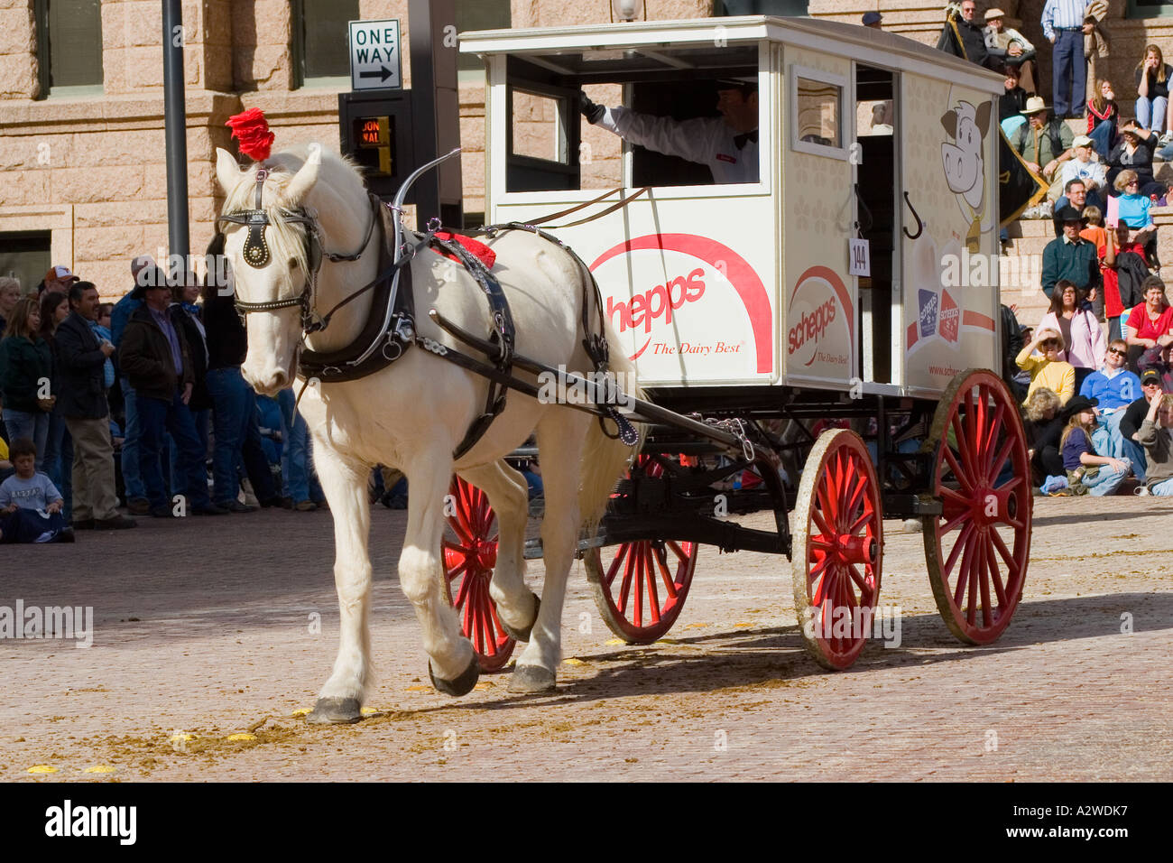 Dairy wagon pulled by white horse in fort worth hires stock