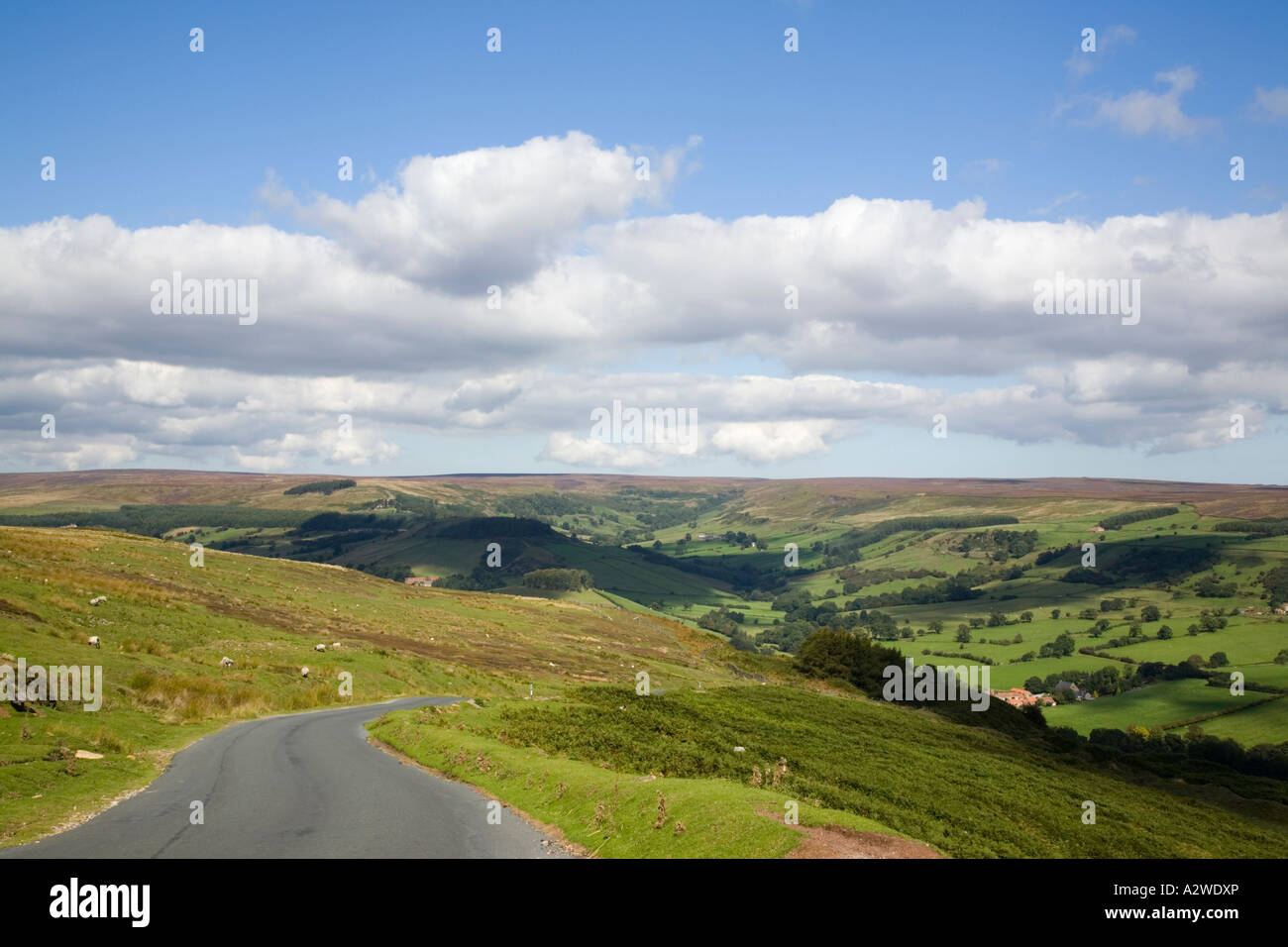 York yorkshire england uk september hires stock photography and images