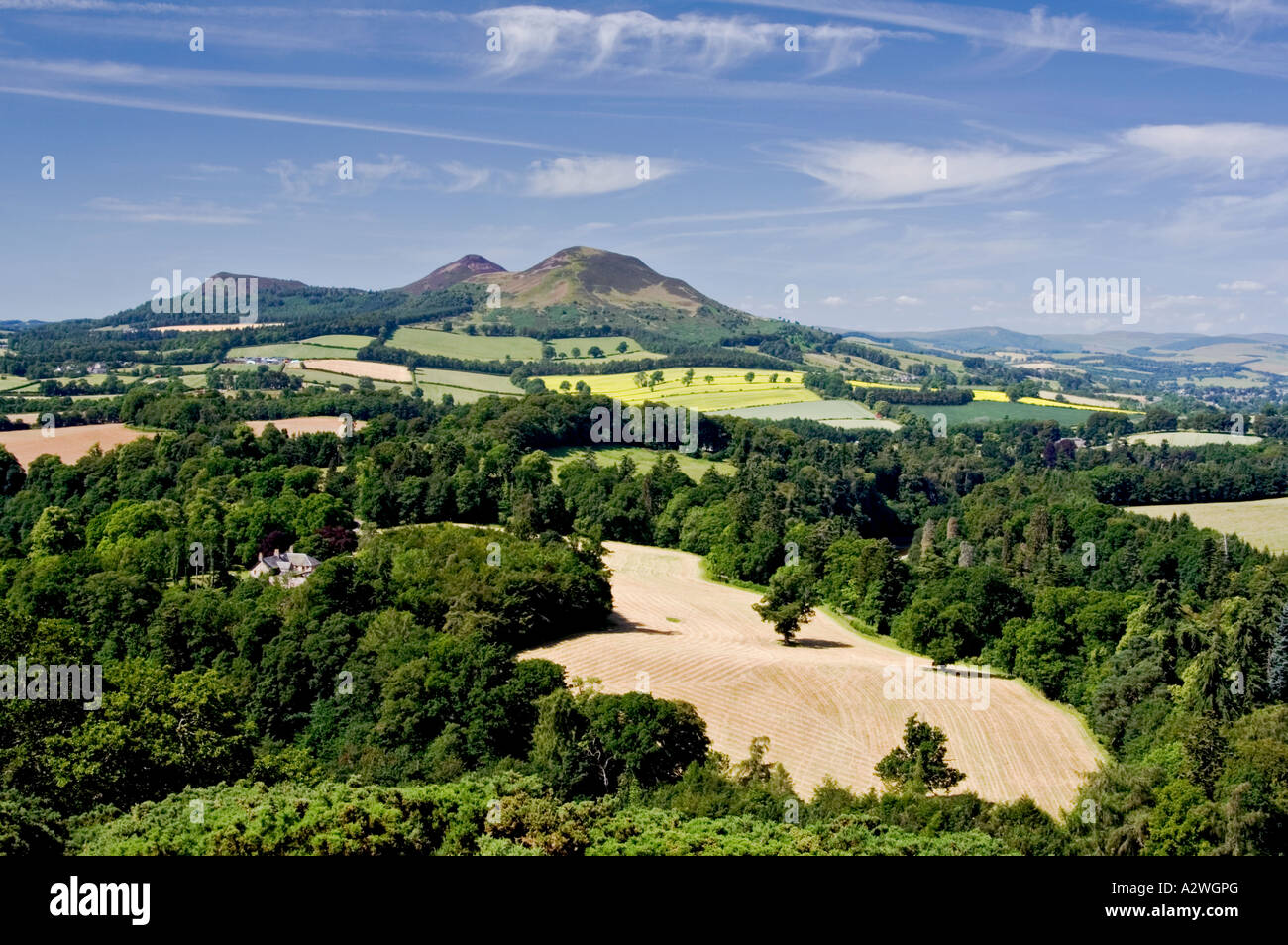 Eildon farm hi-res stock photography and images - Alamy