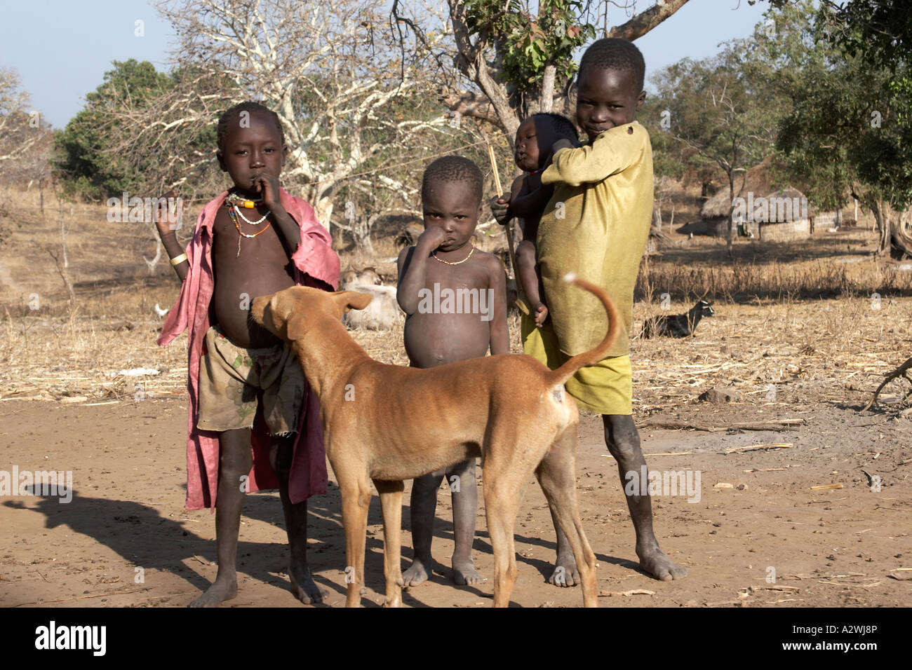 Young children baby and dogs outside in countryside in Boka