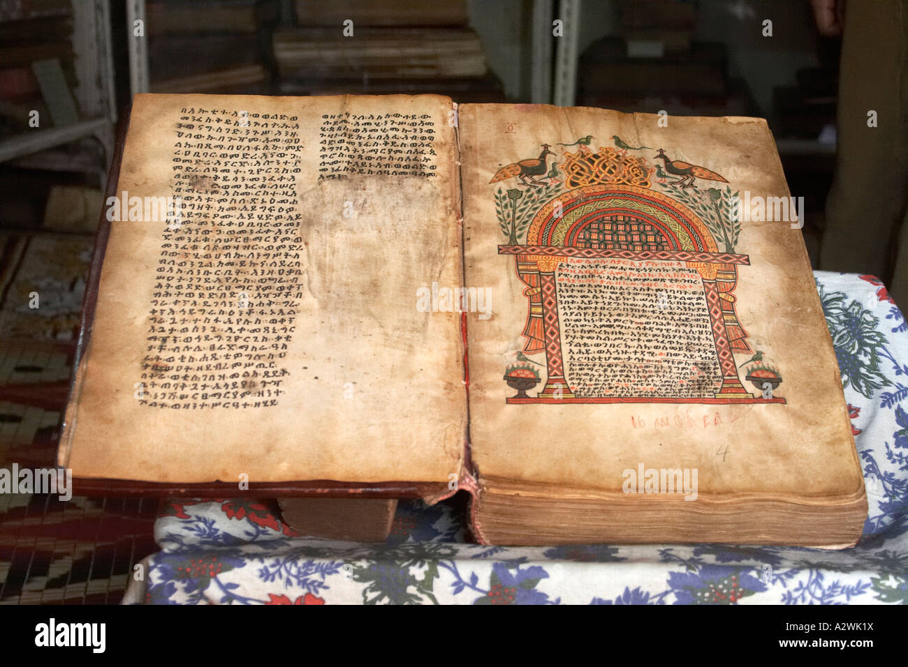 old 1555 illuminated manuscript parchment book of gospels in museum of