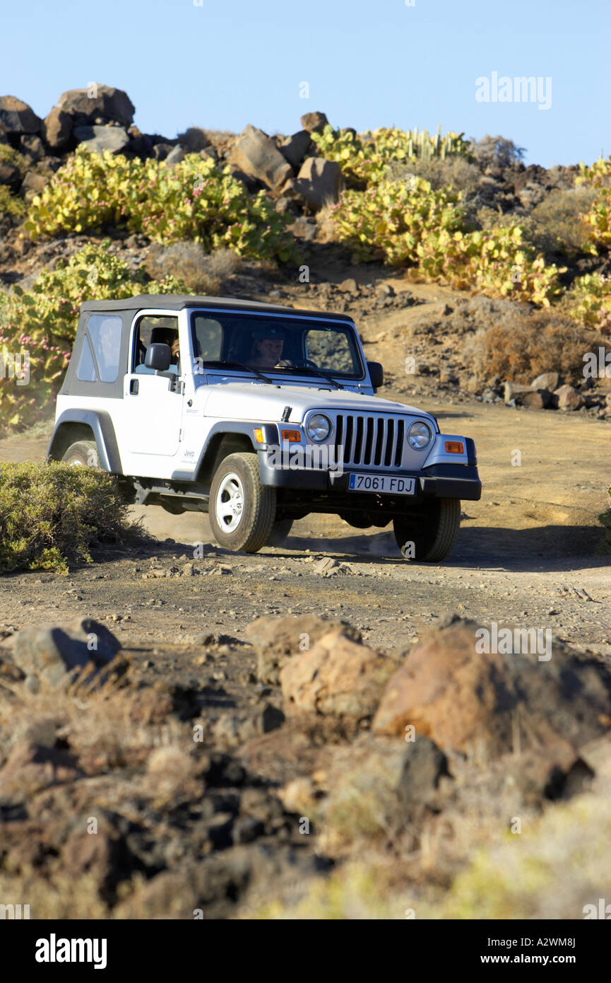 Top 61+ imagen fields jeep wrangler Abzlocal.mx
