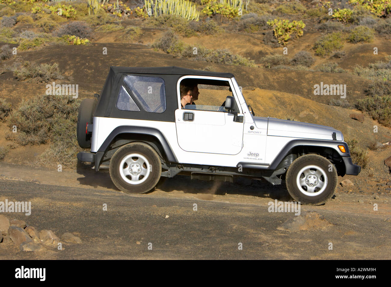 Soft top Wrangler Jeep sport 4x4 driving off road on dirt track through  cactus fields Stock Photo - Alamy