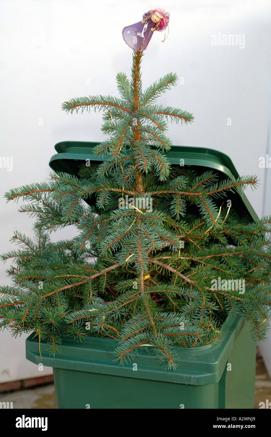 A Christmas tree in a bin Stock Photo Alamy