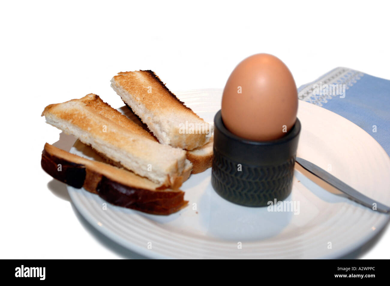 Boiled egg and toast soldiers on a white plate Stock Photo Alamy