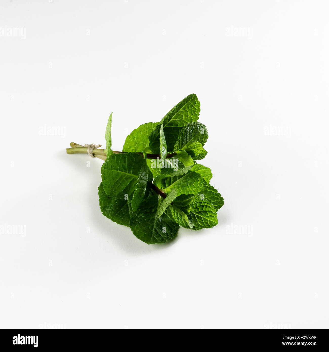Mints In Square Mint square hi-res stock photography and images - Alamy