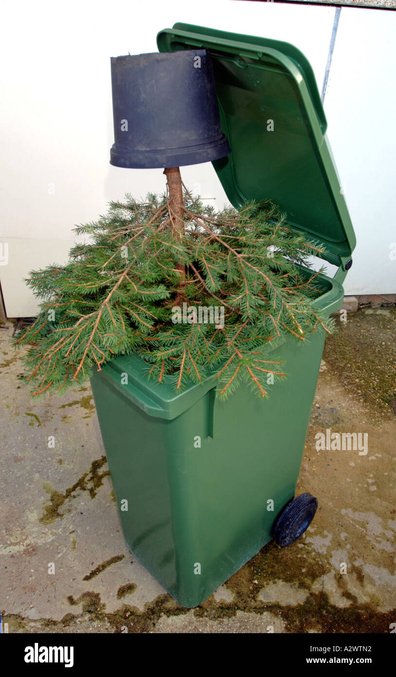 A Christmas tree in a bin Stock Photo Alamy