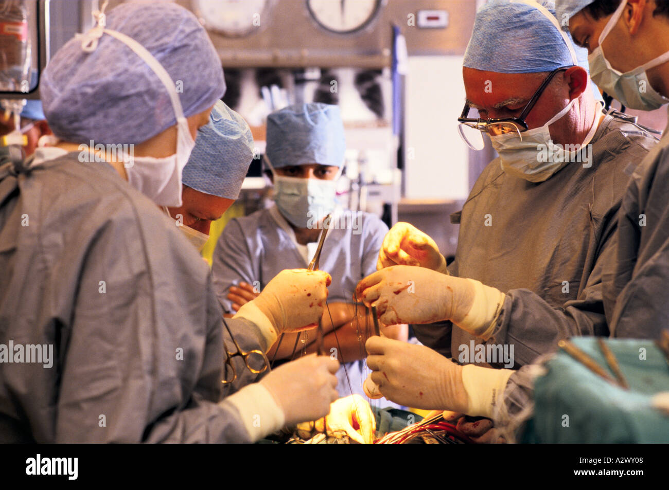 Heart Operational Success Human heart anatomy hi-res stock photography and images - Alamy