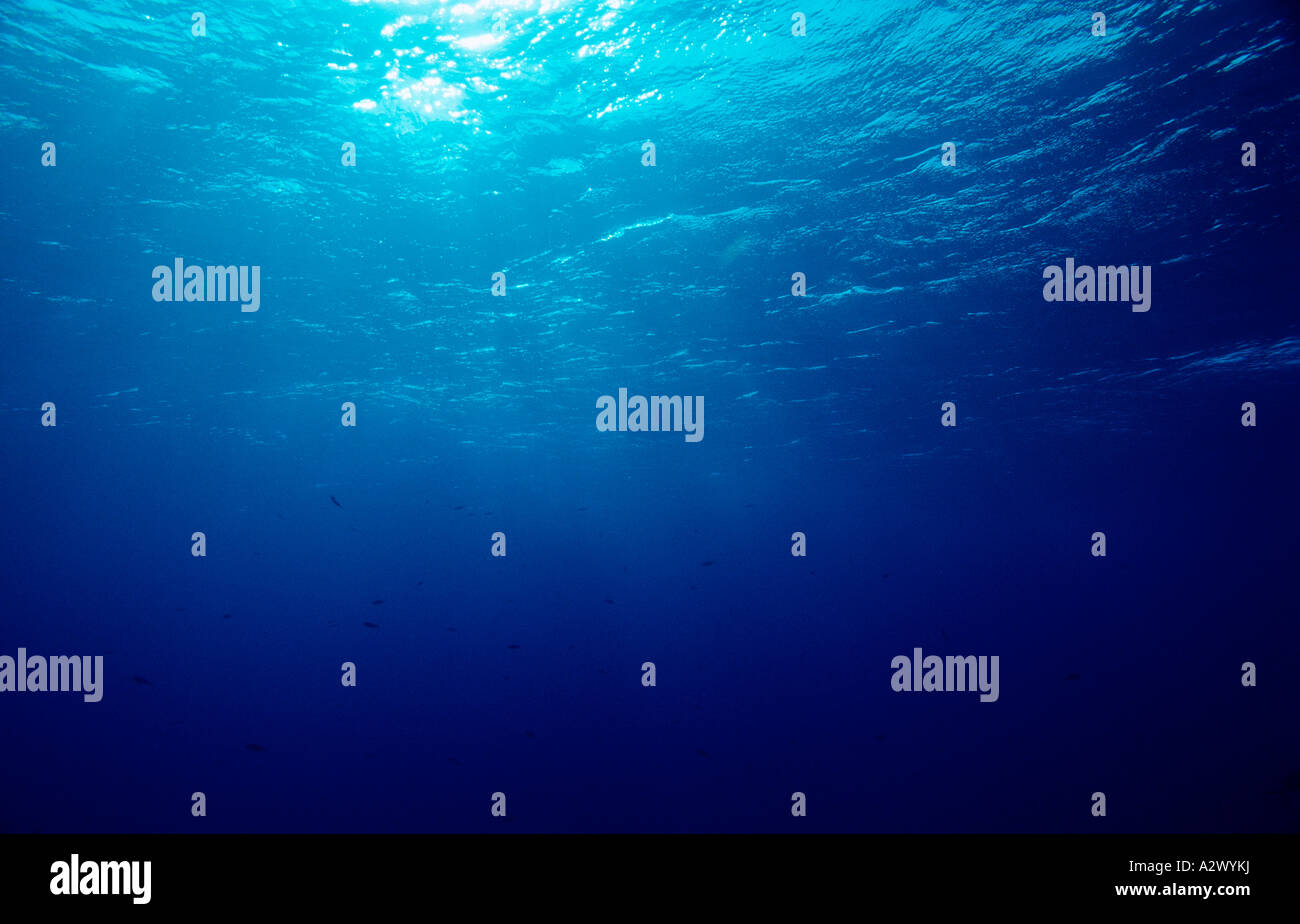 Underwater surface Egypt Africa Sinai Sharm el Sheik Red Sea Stock Photo