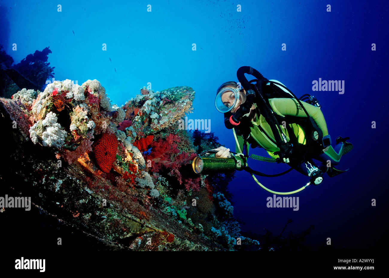 Scuba diver exploring shipwreck Numibia Egypt Africa Red Sea Stock Photo