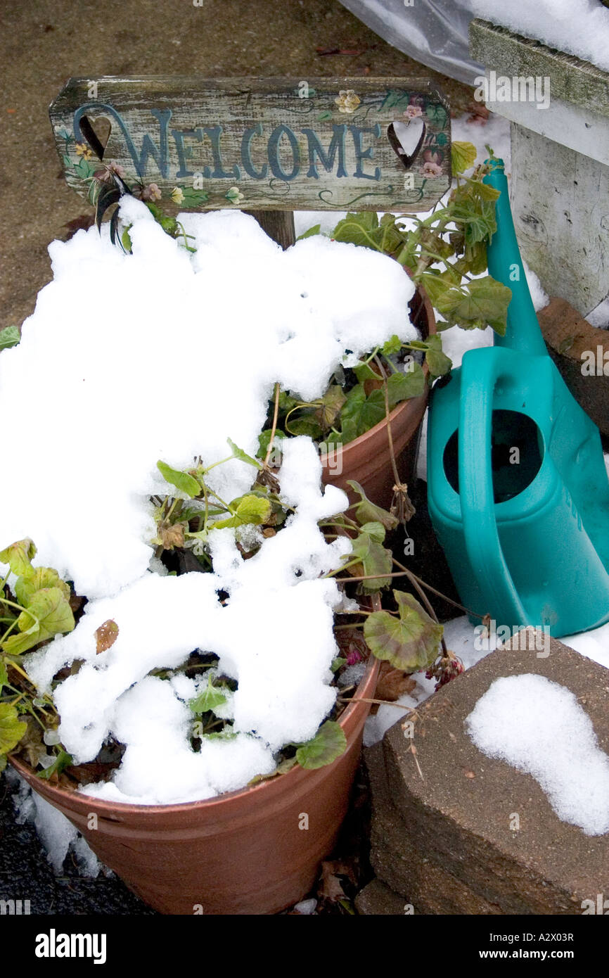 A garden winter snow. Downers Grove Illinois IL USA Stock