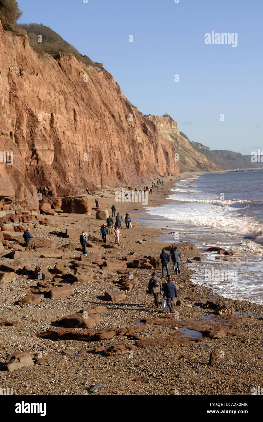 The World Heritage Site Coastline along Lyme Bay on the Dorset coast near Sidmouth England Stock Photo