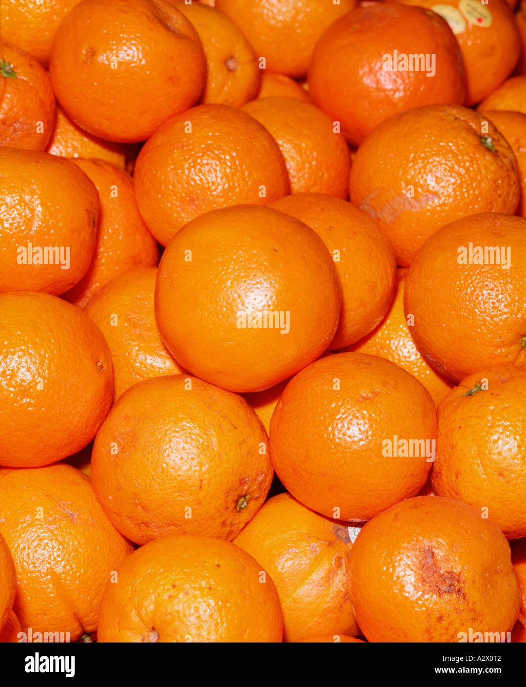 Food. Fruit. Still life of Oranges. Stock Photo
