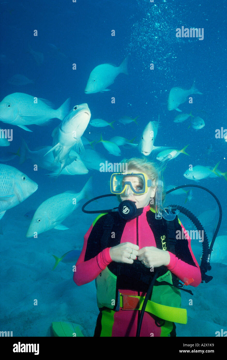 Scuba diving woman with fishes. Great Barrier Reef. Queensland. Australia. Stock Photo