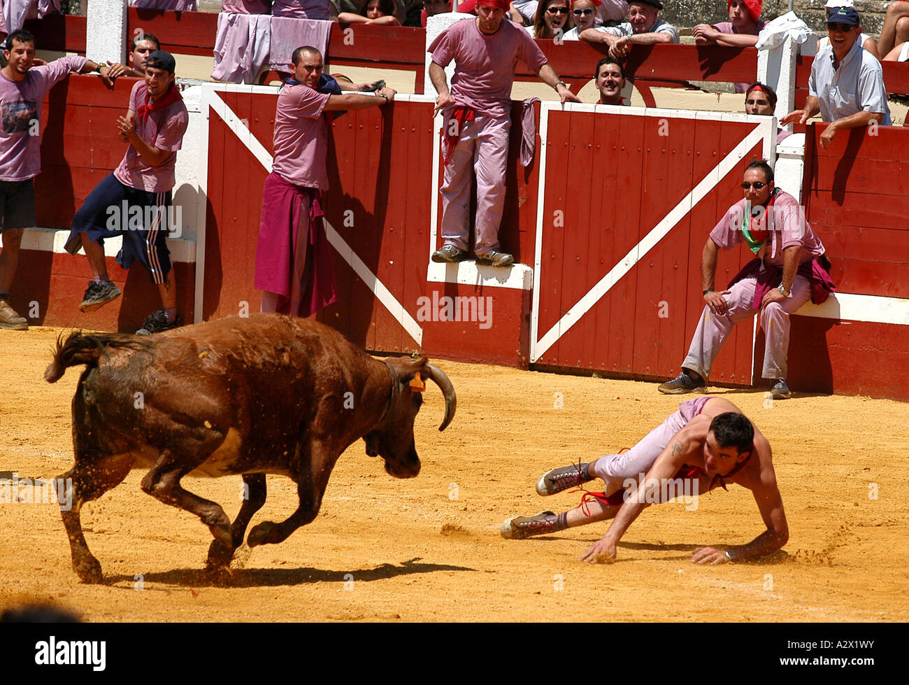Battle of the wine, Haro Wine Festival, Spain Stock Photo 10606598 Alamy