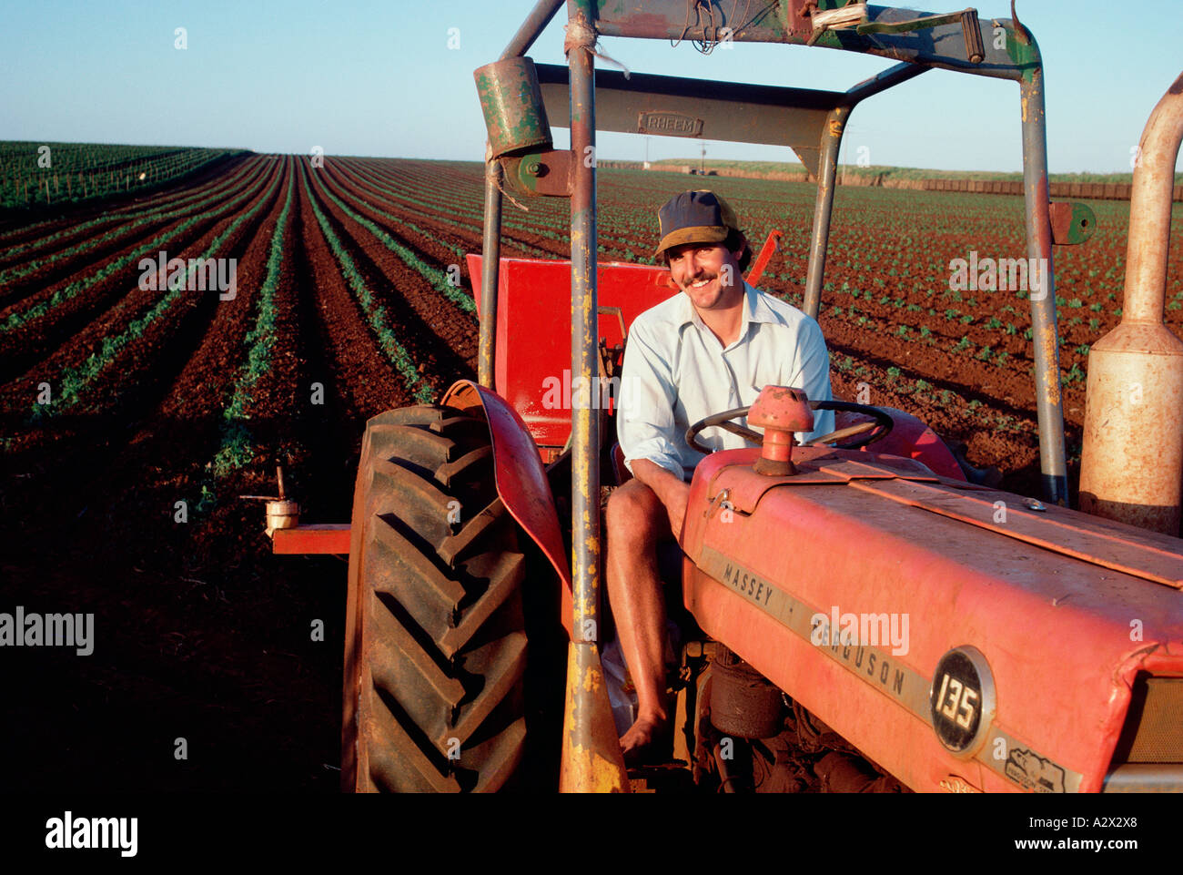 Australia. Smiling farmer driving tractor on tomato plantation Stock