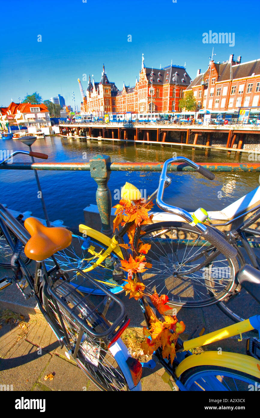 Bicycles personalised decoration flowers autumn leaves hires stock